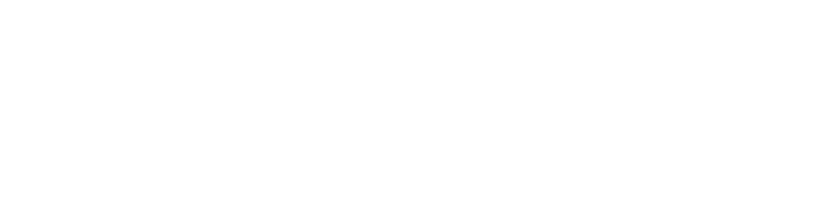 Bolt Express Logo White